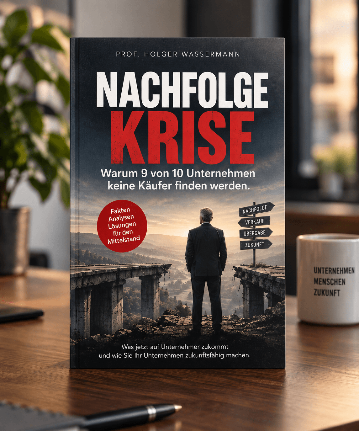 Buchcover Nachfolgekrise von Prof. Dr. Holger Wassermann
